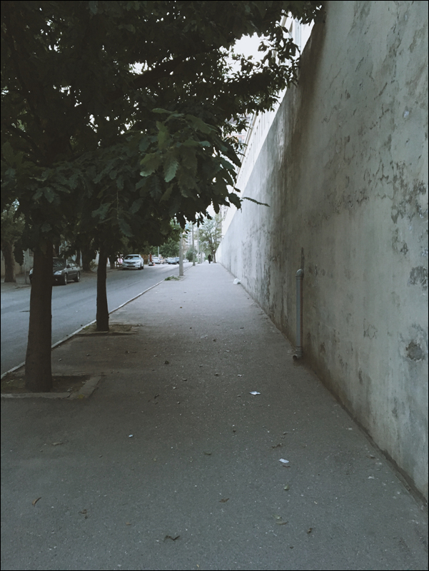 Processed with VSCO with a10 preset