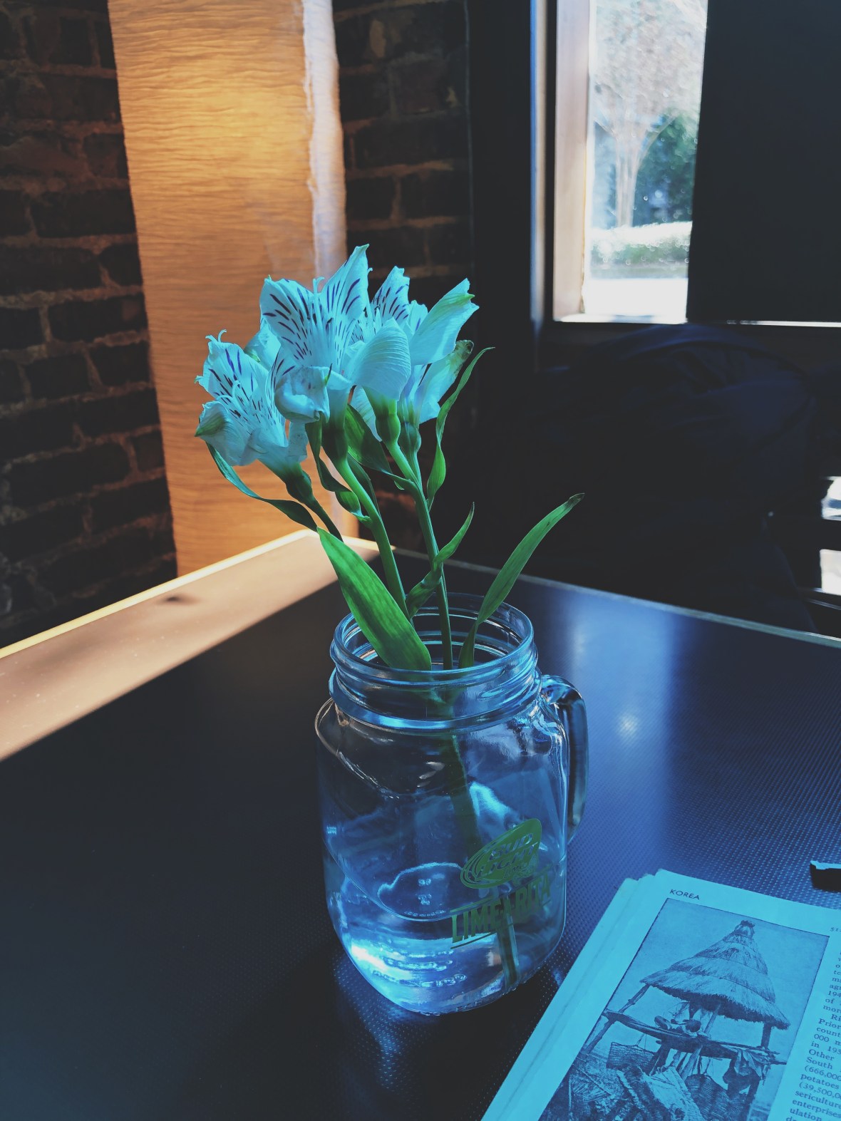 Processed with VSCO with 5 preset