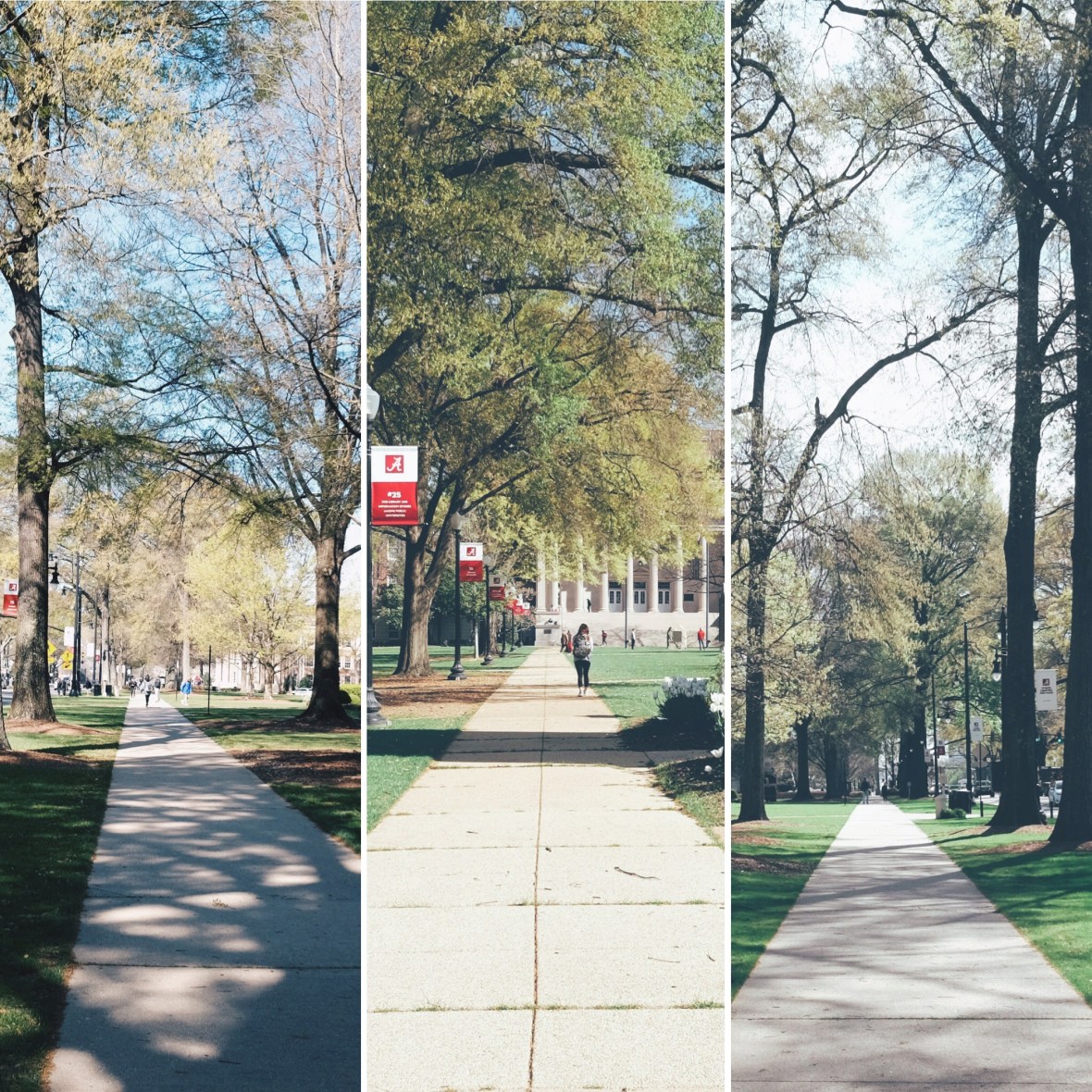 0D36A4DC-C1C1-4EA4-9061-262957FCA10F