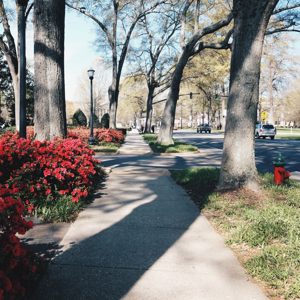 Processed with VSCO with hb2 preset