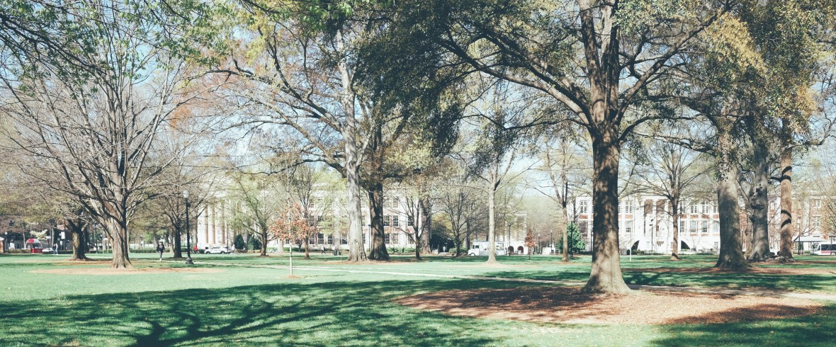 Processed with VSCO with e8 preset