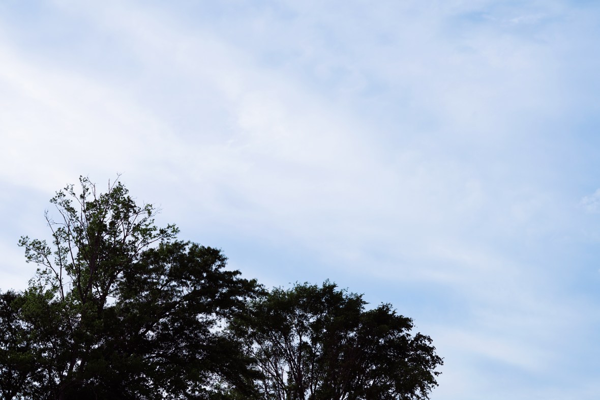 Processed with VSCO with q3 preset