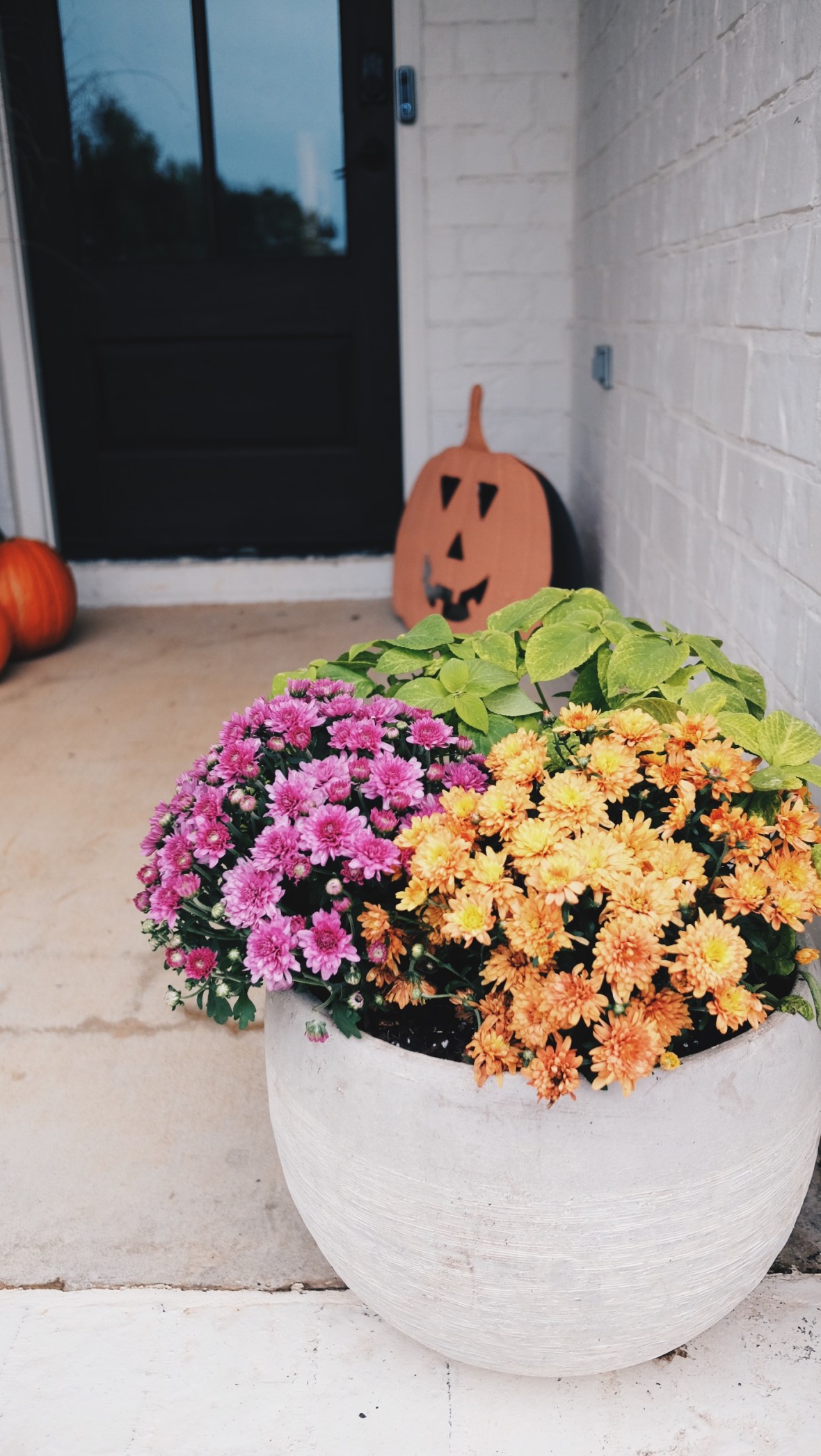 Processed with VSCO with hb2 preset