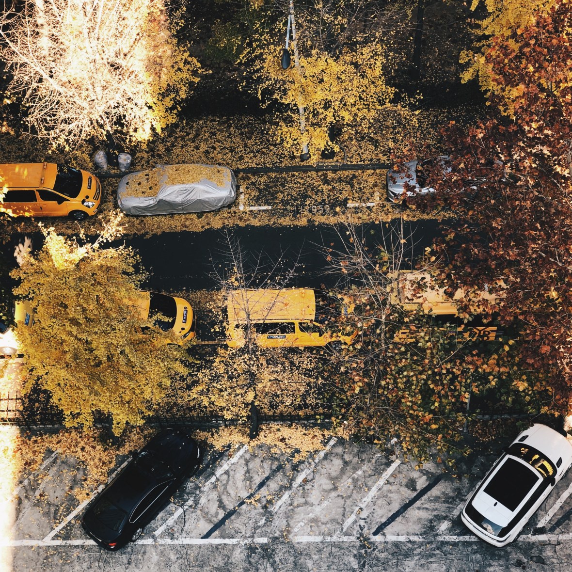 Processed with VSCO with hb2 preset